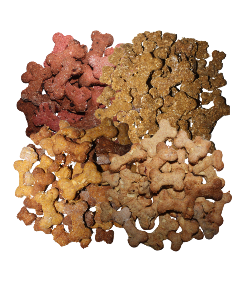 Mix de galletas para perro sabor hígado de pollo, manzana, avena y zanahoria y betabel con arándano