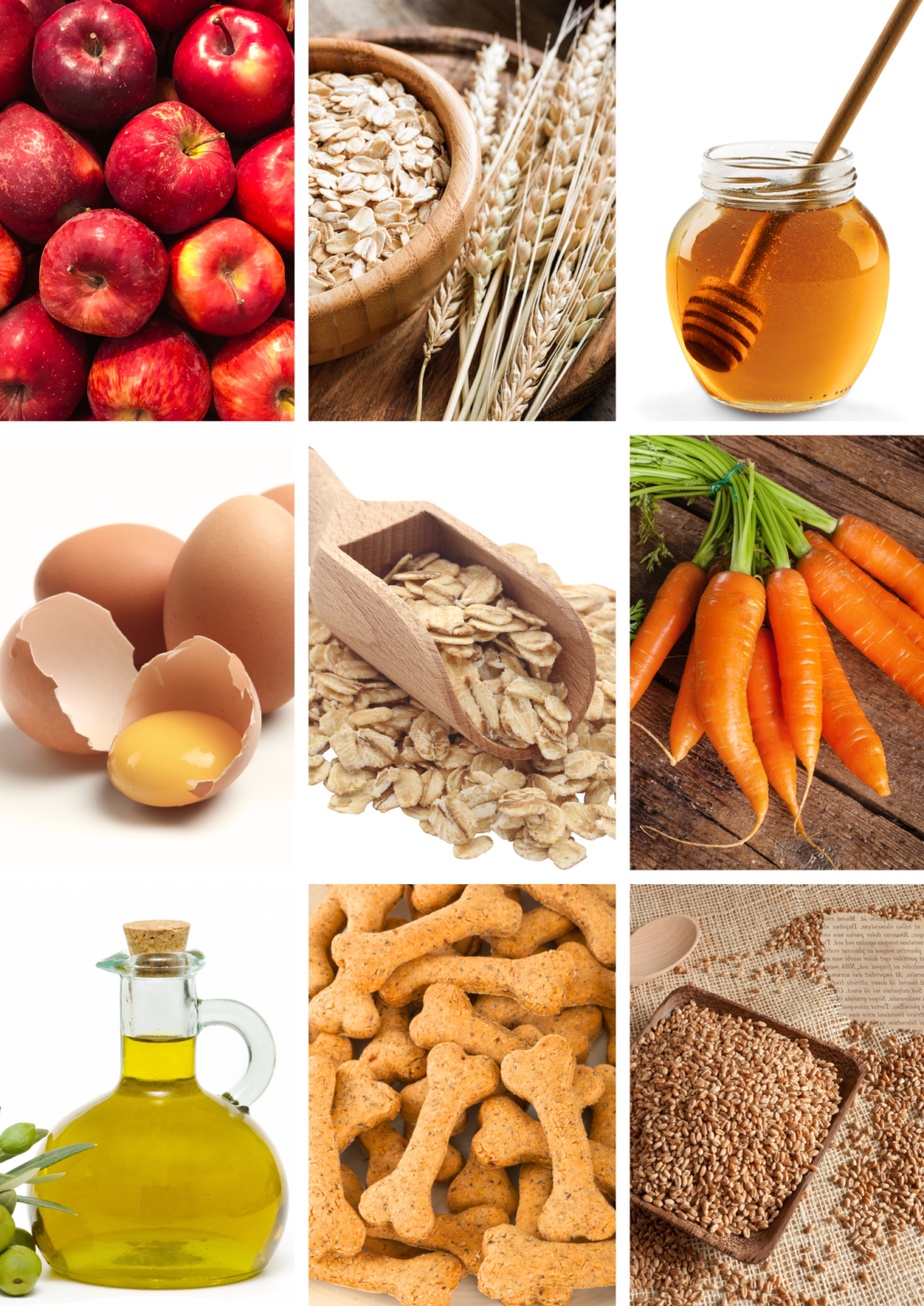 Ingredientes naturales para elaborar galletas para perro